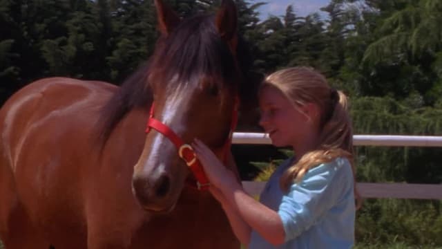 S01:E24 - High Horse