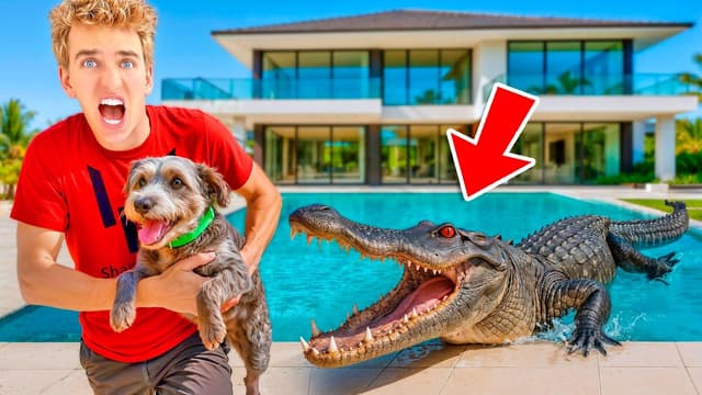 S01:E15 - Finding Missing Dog and Gator