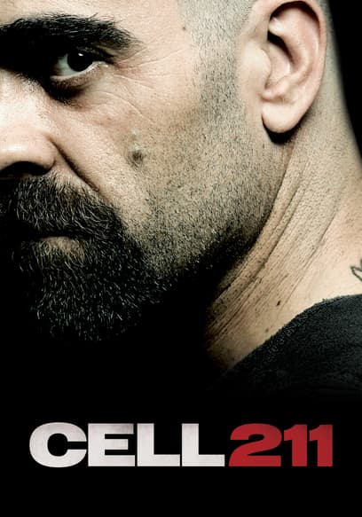 Cell 211