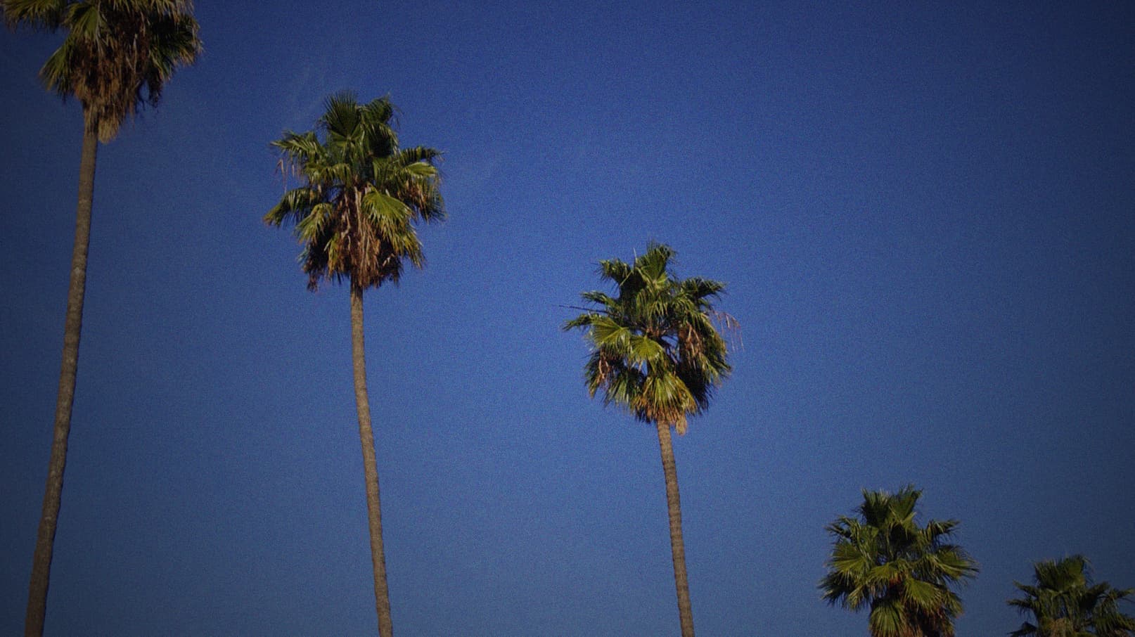 poster background