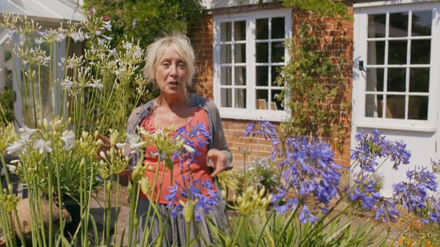 S08:E12 - Episode 12