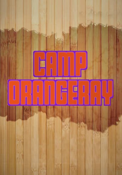 Camp OrangeRay poster