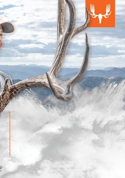 Watch MeatEater S12:E04 - Idaho Mule Deer - Free TV Shows | Tubi
