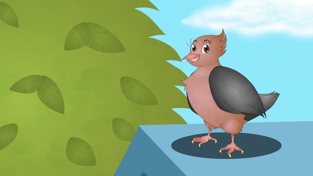 Watch Mickey's Farm S03:E317 - Pigeon - Free TV Shows | Tubi