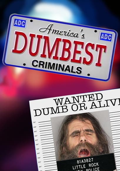 America's Dumbest Criminals poster