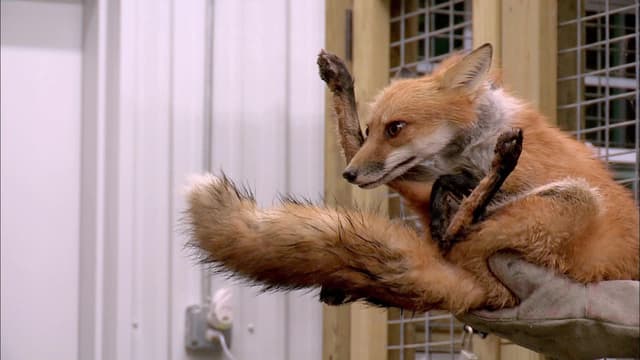 S06:E14 - Snarl Slither Snap