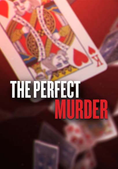 The Perfect Murder