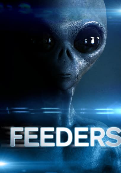 Feeders