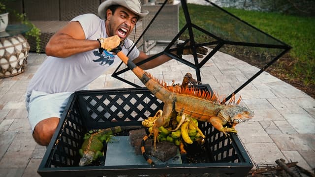 S01:E10 - The Iguana Hunter
