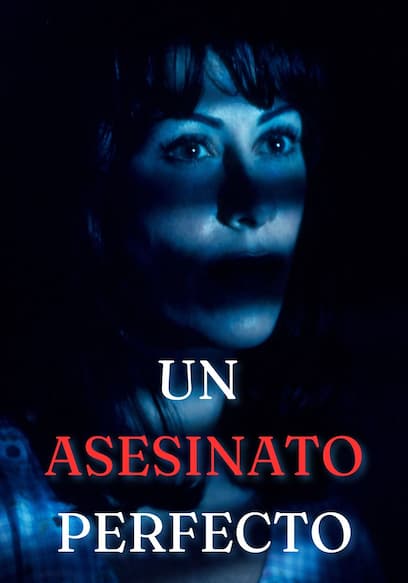 Un asesinato perfecto (Doblado)