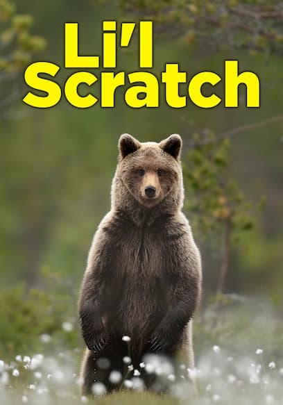Lil Scratch