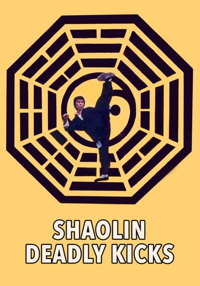 Shaolin Deadly Kicks