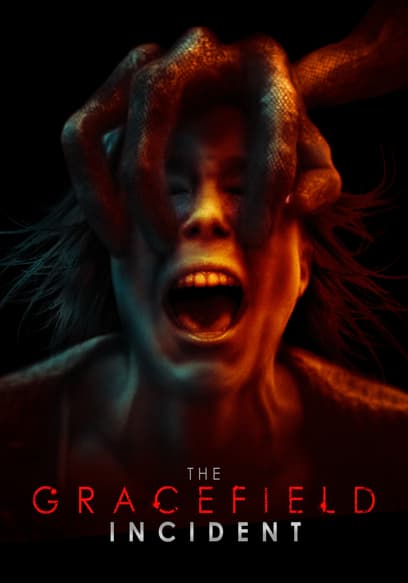 The Gracefield Incident