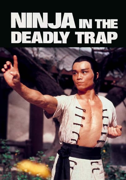 Ninja in the Deadly Trap