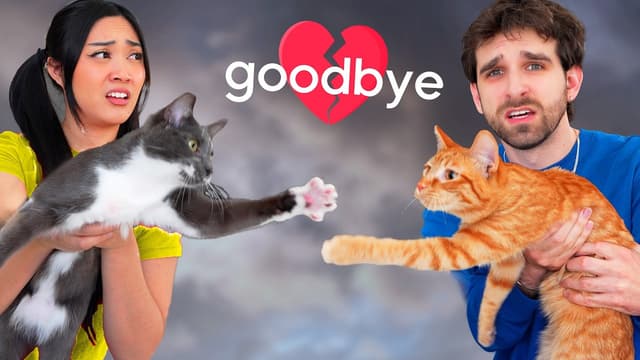 S01:E06 - Kitty Love Tested