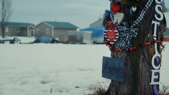 S03:E09 - Killed My Wife or Staircase Fall?