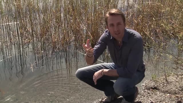 S02:E14 - Earth's Views