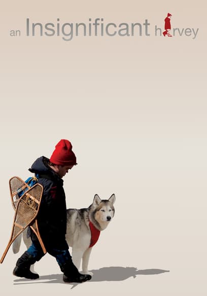 An Insignificant Harvey poster