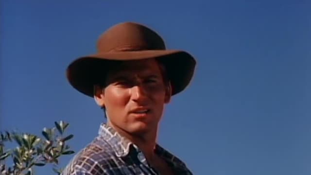 S08:E27 - The Facts of Life Down Under (Pt. 3)