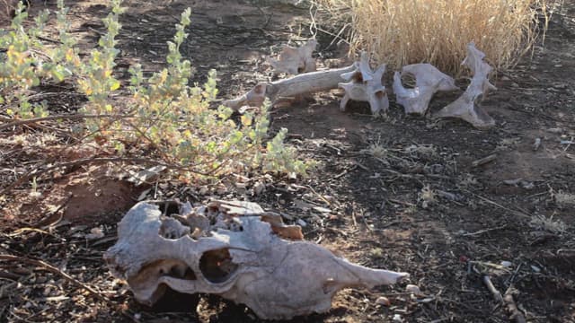 S03:E19 - Killer in the Outback: Bradley Murdoch