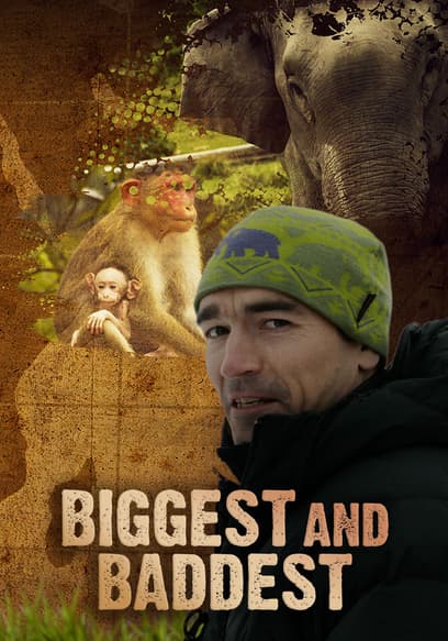 S01:E05 - Deadliest Bird