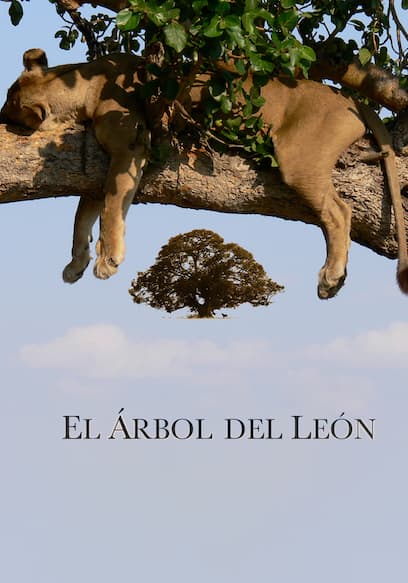El árbol del león poster