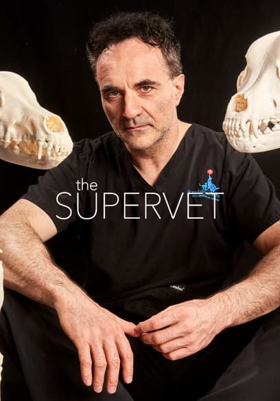 S02:E09 - Episode 9: Christmas Special