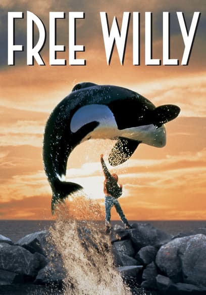 Free Willy poster