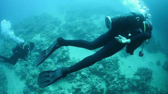 S01:E29 - Episode 29