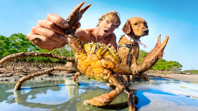 S01:E06 - Mangrove Island