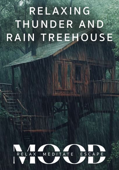 Relaxing Thunder and Rain Treehouse: Mood