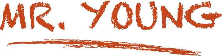 Mr. Young