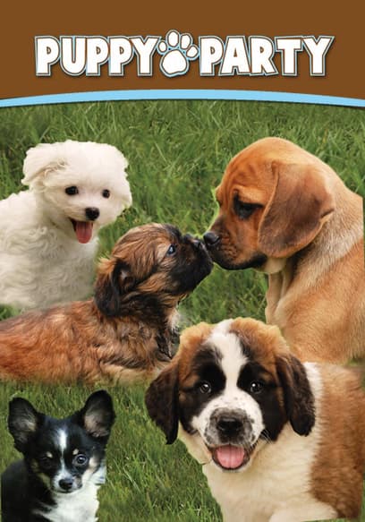 Puppy Party