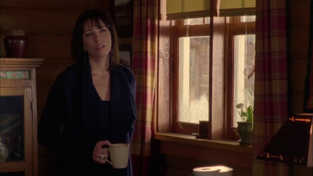 S05:E17 - True Calling