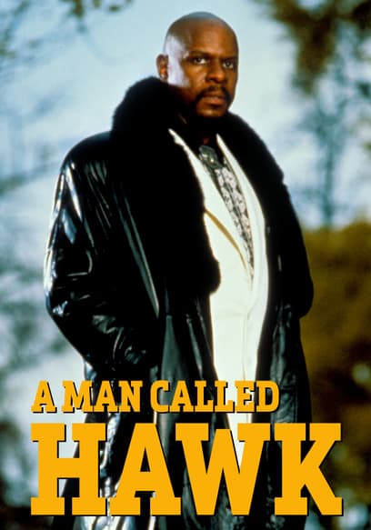 A Man Called Hawk