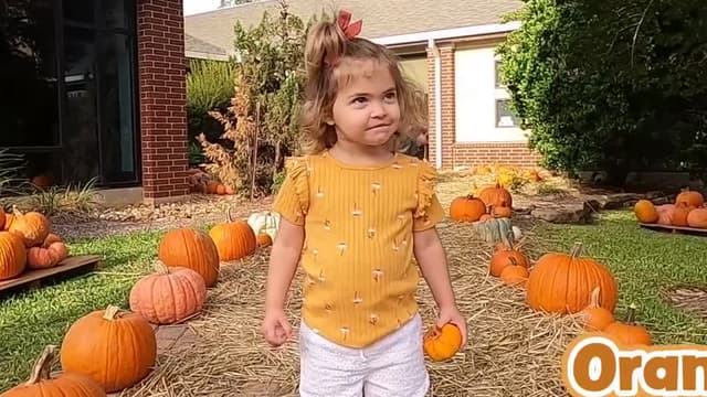 S01:E07 - Kids Trip to the Pumpkin Patch