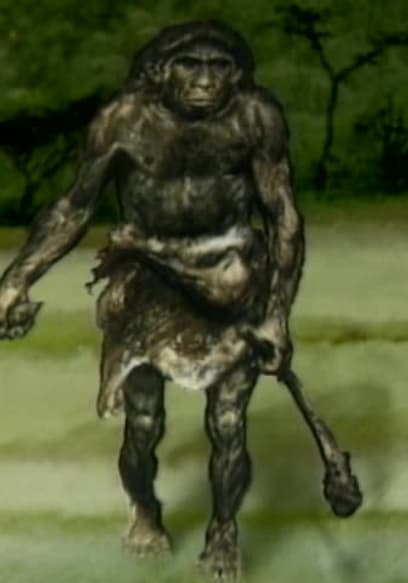 S01:E10 - The Search for Neanderthal poster