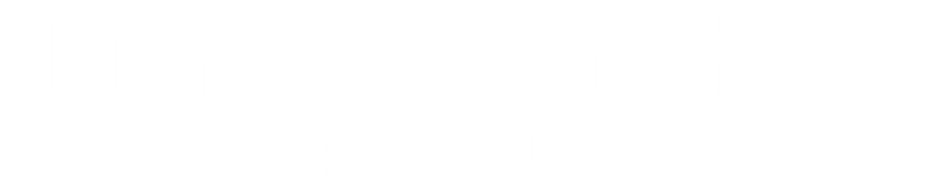 Tiny Shoulders, Rethinking Barbie