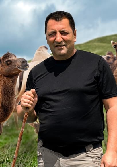 S01:E07 - Camel Milk Cheese poster