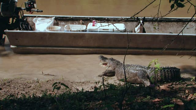 S03:E16 - Big Gators, Big Dollars