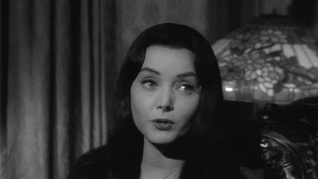 S02:E28 - The Addams Policy