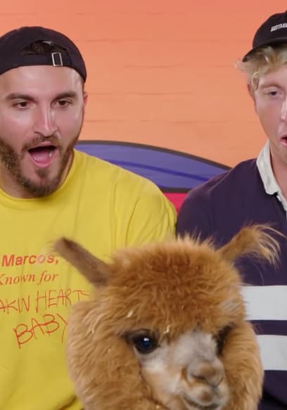 S01:E14 - Vlog Squad Try Not to Fail poster