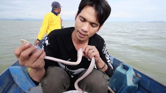 S01:E20 - Finding Poisonous Snakes of Songkhla Lake (Pt. 2)