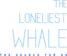 The Loneliest Whale: The Search for 52