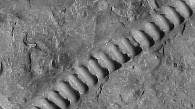 S02:E01 - Strange Discoveries in Space