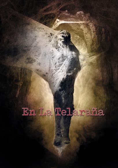En la telaraña