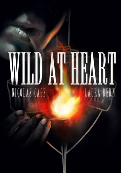 Wild at Heart poster