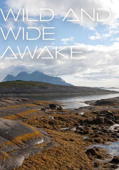 Wild & Wide Awake - Spring Across Europe
