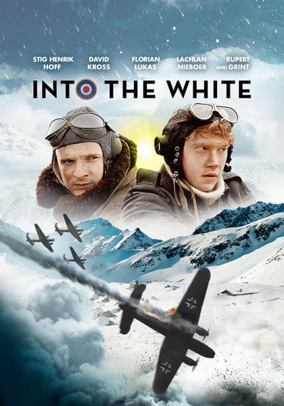 Into the White