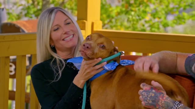 S19:E01 - A New Chapter